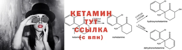 гидра Кукмор