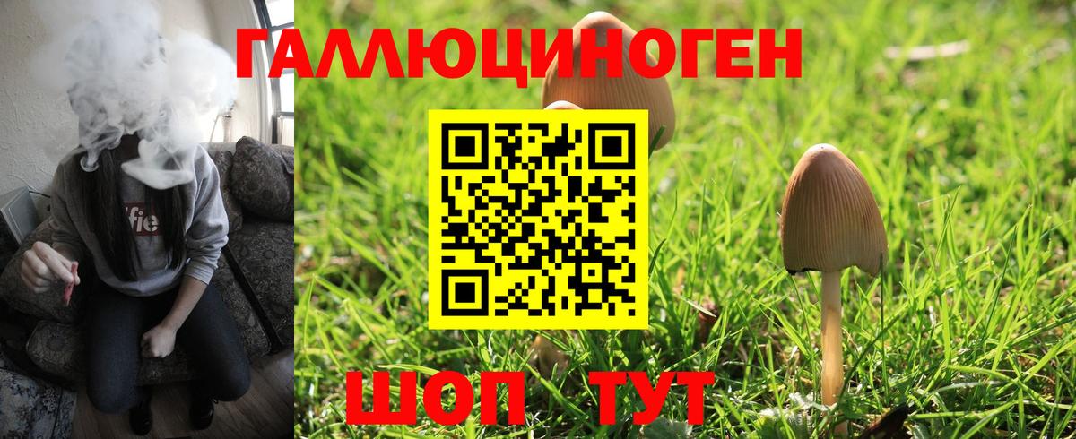 купить   Псилоцибиновые грибы прущие грибы  Вход с VPN  Мелеуз 