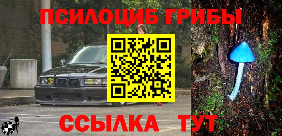 Псилоцибиновые грибы мицелий Мелеуз